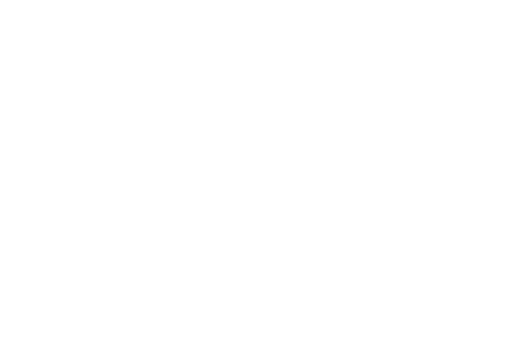 Arion