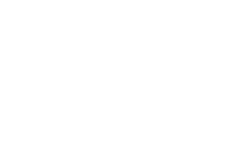 Ergon